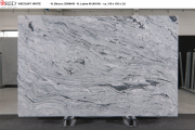 Wiskont white 6443 - 3 cm.png